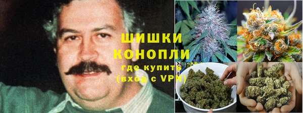 spice Аркадак